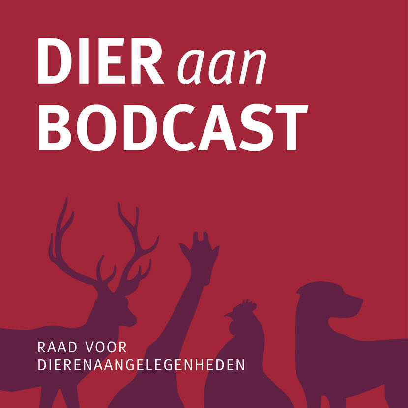 Logo Dier aan BODCAST