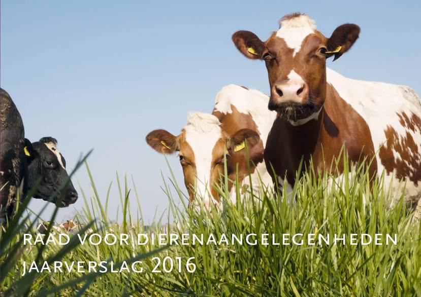 RDA Jaarverslag 2016