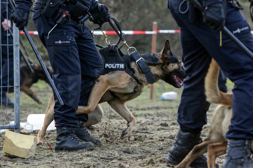 Oefening politiehonden