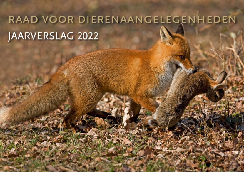 Cover Jaarverslag 2022