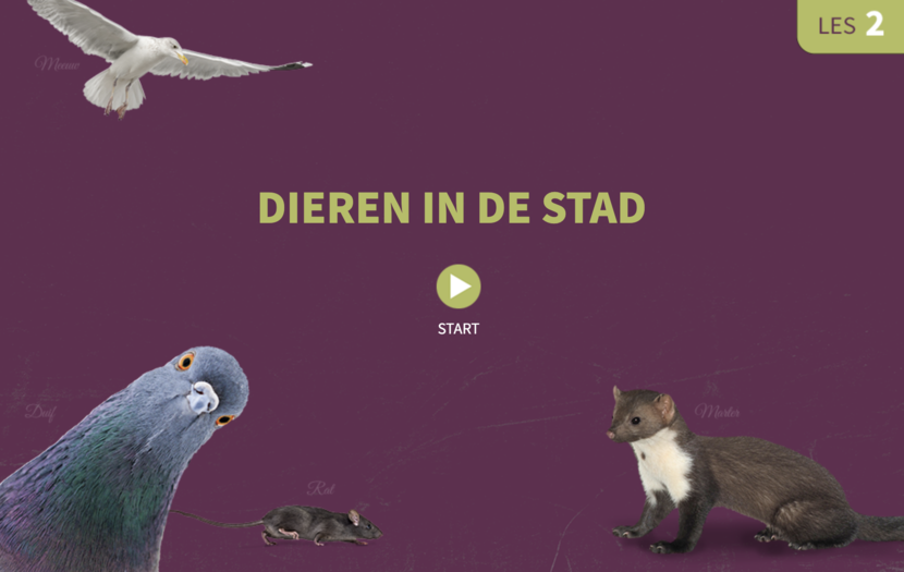 Lesmateriaal: dieren in de stad