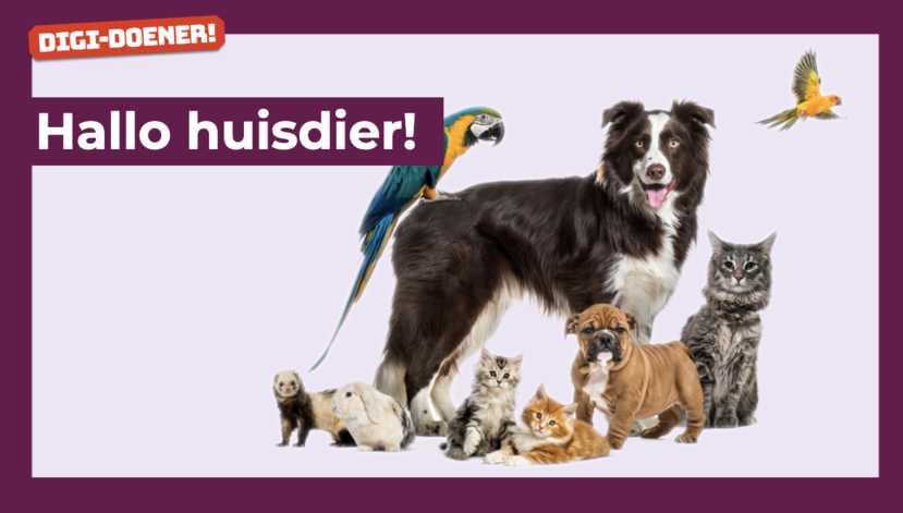 Lesmateriaal: hallo huisdier!