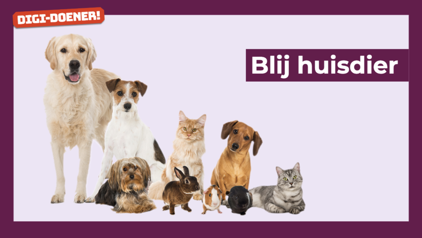 Lesmateriaal: blij huisdier