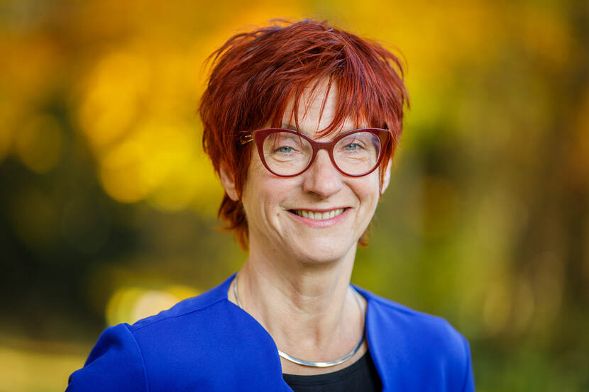 prof. dr. ir. G.M. (Gerda) van Dijk