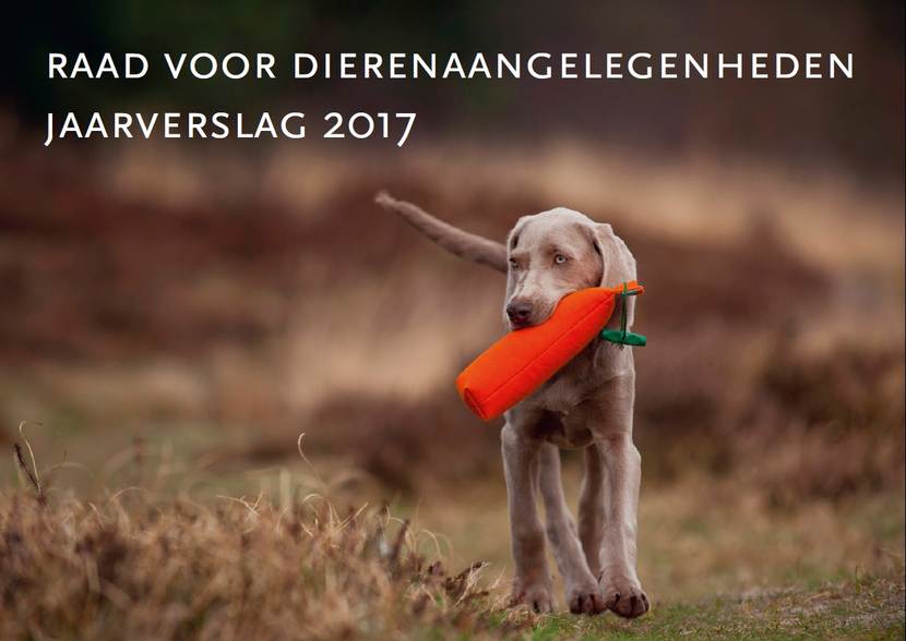 RDA Jaarverslag 2017