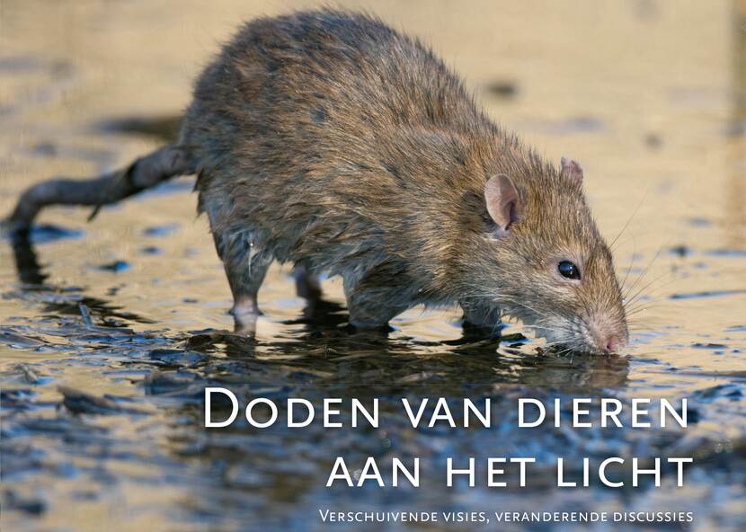 Zienswijze Doden van dieren aan het licht